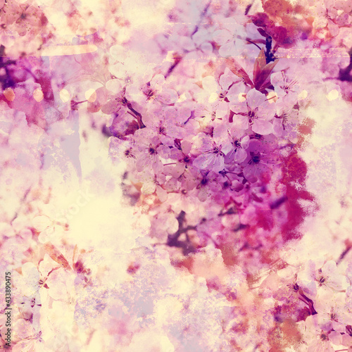 Blooming cherry (sakura) - photo collage and watercolour texture