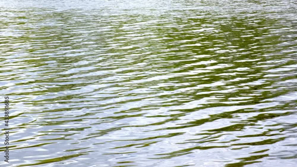 Ripples on the surface of the water. Dynamic video substrate, screen saver. Meditative video drawing. Ripples on the surface of the water. Dynamic video substrate, screen saver. Meditative video drawing.
