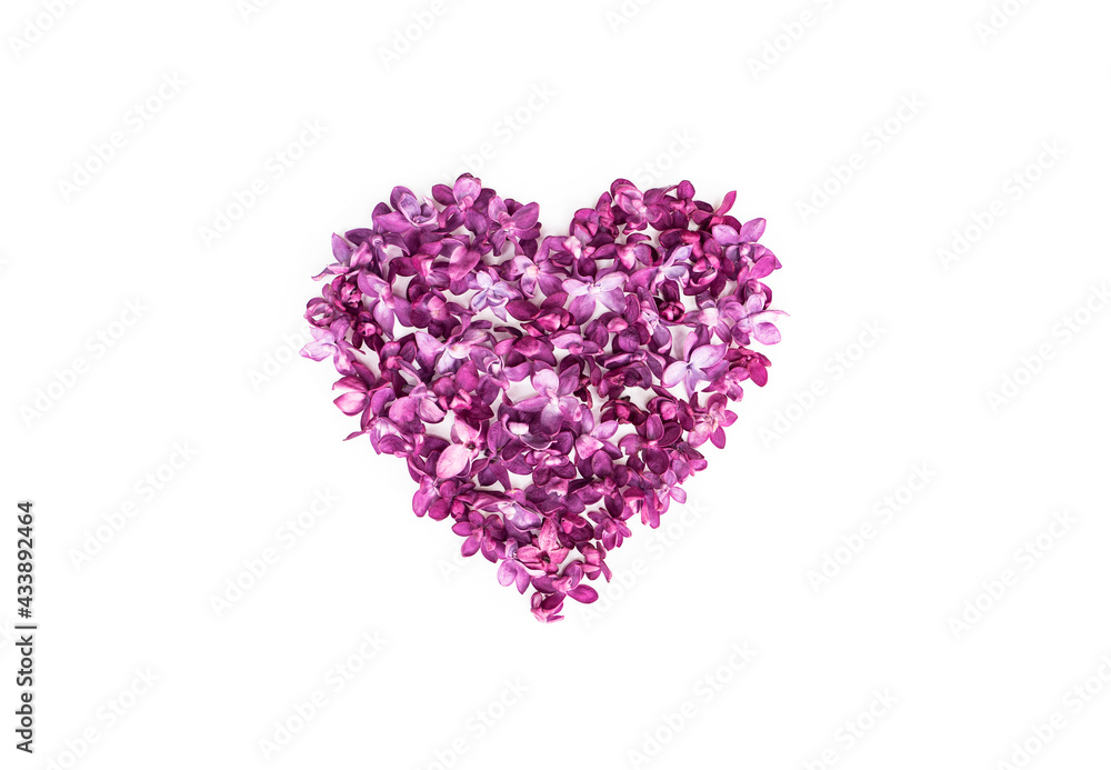 Heart made of lilac flowers isolated on a white background. Top view, copy space.