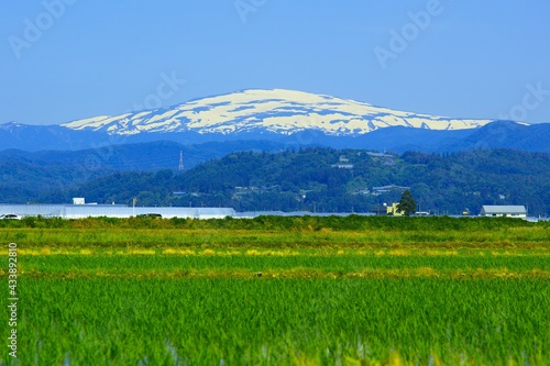 日本の春の風景（山形県寒河江市・月山）
