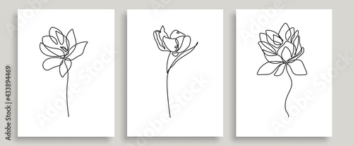 Flowers One Line Drawing Vector Set. Botanical Modern Single Line Art, Aesthetic Contour. Perfect for Home Decor, Wall Art Posters, or t-shirt Print, Mobile Case. Continuous Line Drawing of Flowers.