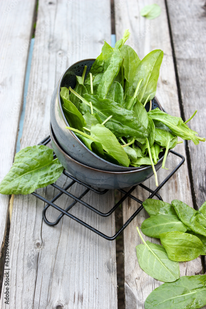 Sorrel in a saucer on a wooden board Sorrel in a saucer on a wooden board