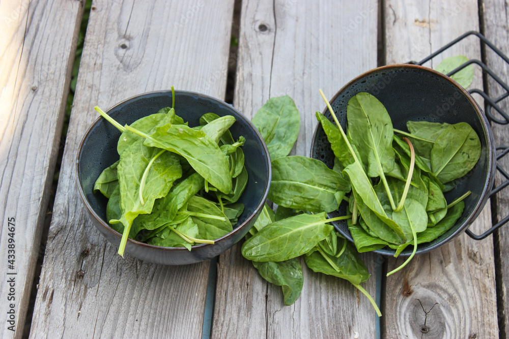 Sorrel in a saucer on a wooden board Sorrel in a saucer on a wooden board