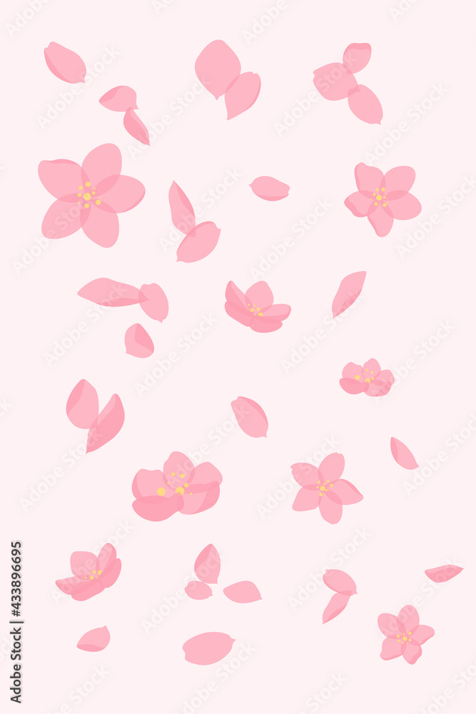 Vector background. Falling sakura  pink petals and flowers.