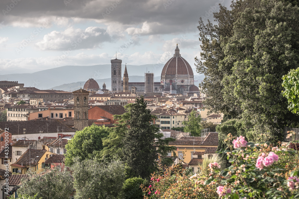 The beauty of Florence with pink roses