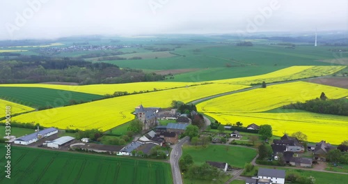 Blühendes Rapsfeld - Rapsöl Gewinnung Landwirtschaft an der Mosel - Urlaub in Deutschland