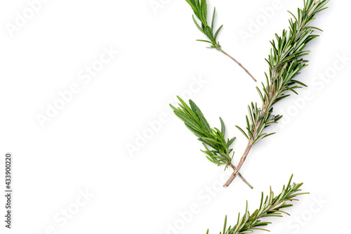 Rosemary flat lay on white background illustrating herbal kitchen ingredient