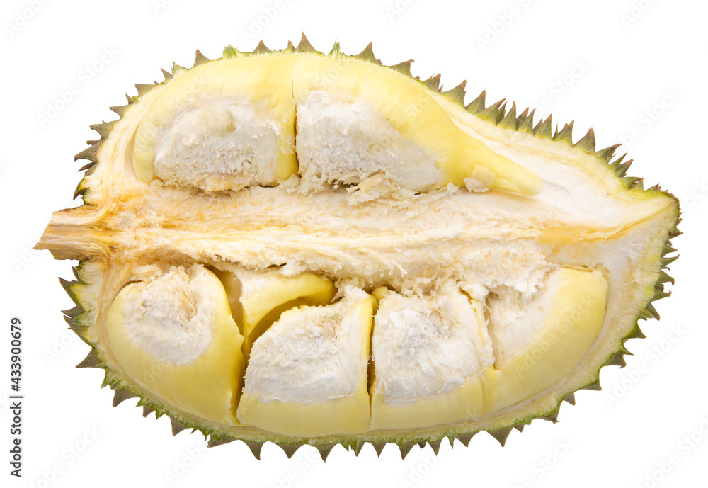 Ripe durian isolated on white background Ripe durian isolated on white background