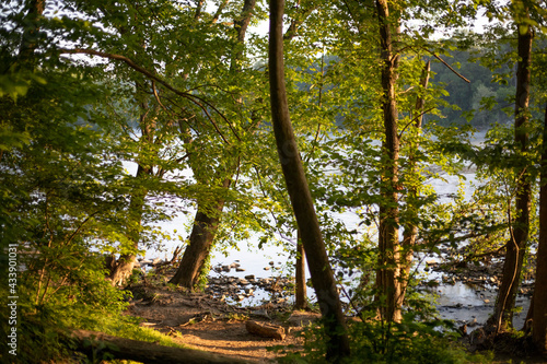 Fototapeta Naklejka Na Ścianę i Meble -  Potomac River Sunrise Morning