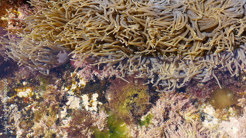 Below the surface Below the surface