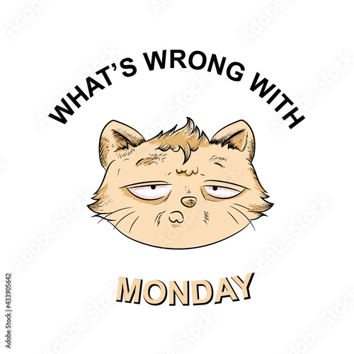 cute illustration of a stressed cat waking up in the morning and he thinks what's wrong with monday