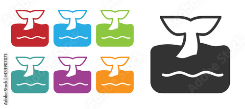 Black Whale tail in ocean wave icon isolated on white background. Set icons colorful. Vector