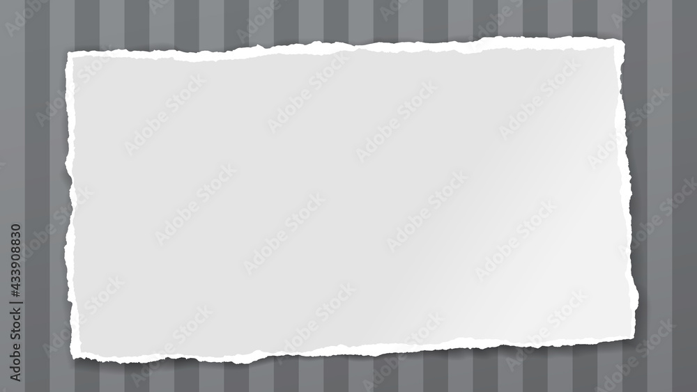 Torn, ripped white paper strip with soft shadow is on lined background for text. Vector illustration