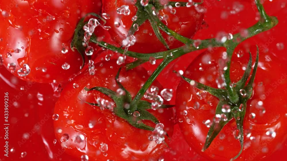 Falling fresh tomatoes, water splash during impact. Super slow motion filmed on high speed cinematic camera at 1000 fps. Falling fresh tomatoes, water splash during impact. Super slow motion filmed on high speed cinematic camera at 1000 fps.