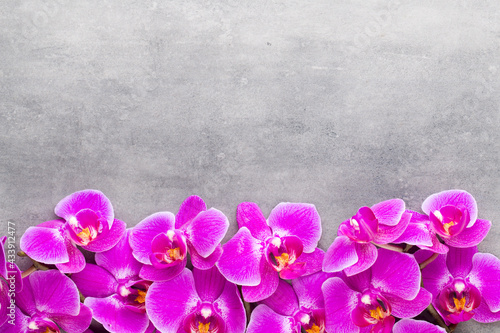 Beauty orchid on a gray background. Spa scene.