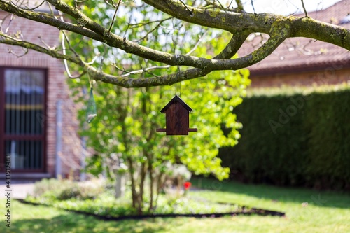 A portrait of a wooden bird feeder house hanging below a walnut tree on a sunny day. The small house is used to put seeds and other bird foods in for birds to find food in winter time and eat. © Joeri