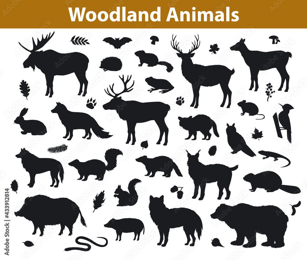 Woodland forest animals silhouettes collection including deer, bear, owl, wild boar, lynx, squirrel, woodpecker, badger, beaver, skunk, hedgehog Woodland forest animals silhouettes collection including deer, bear, owl, wild boar, lynx, squirrel, woodpecker, badger, beaver, skunk, hedgehog