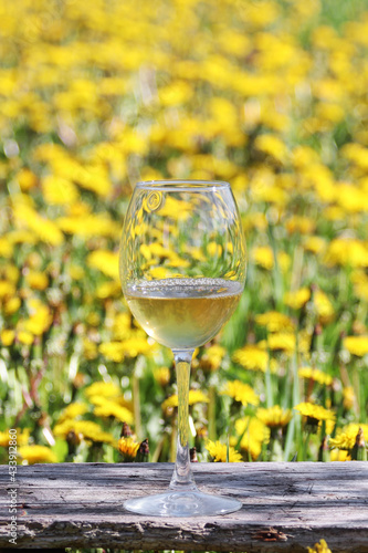 Wine glass with yellow dandelion wine on an old wooden chair in the field.