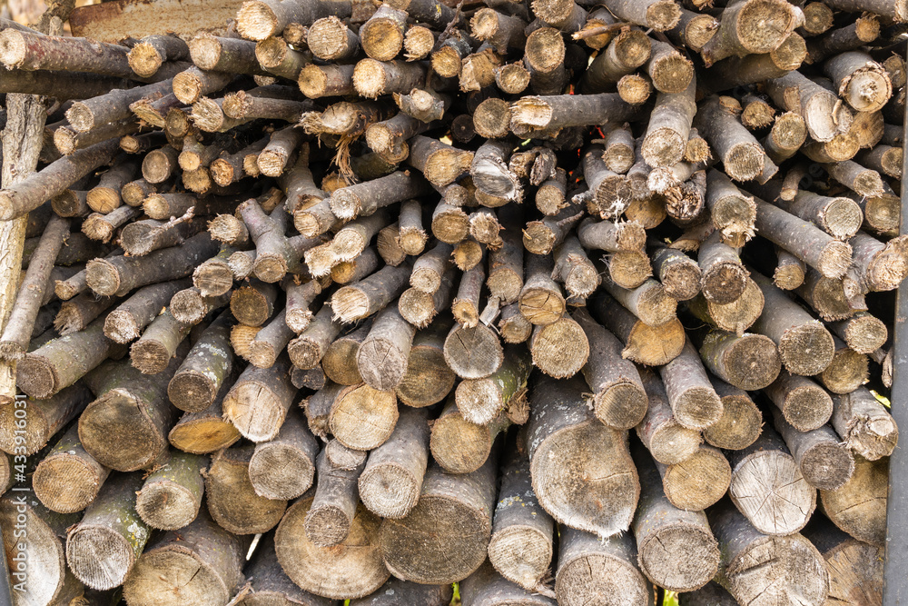 Chopped firewood from fruit trees for barbecue and fireplaces Chopped firewood from fruit trees for barbecue and fireplaces