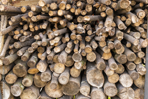 Chopped firewood from fruit trees for barbecue and fireplaces