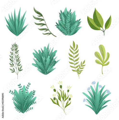 Greenery branches. Green realistic spring grasss. Leafs of exotic plant Collection of tropical abstract isolated symbols. Different patterns of natural lawn meadow bushes