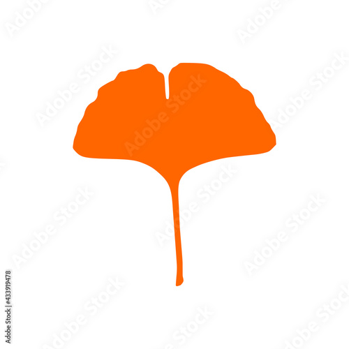 Ginkgo Blatt und Hintergrund