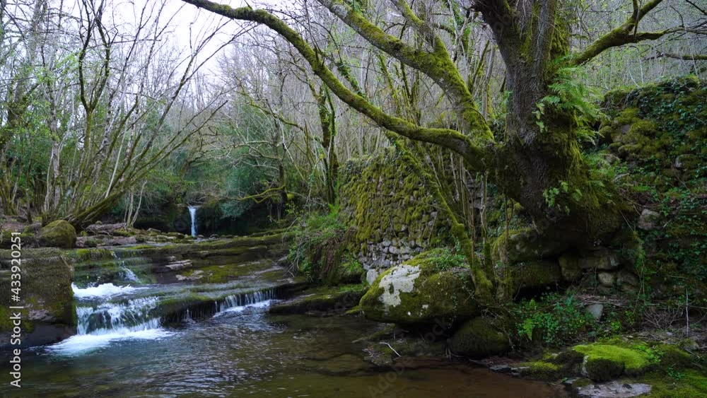 Viaña waterfall. Landscape of mowing meadows, huts and old bridges in Viaña.Vega de Pas. Valles Pasiegos, Cantabria, Spain, Europe Viaña waterfall. Landscape of mowing meadows, huts and old bridges in Viaña.Vega de Pas. Valles Pasiegos, Cantabria, Spain, Europe