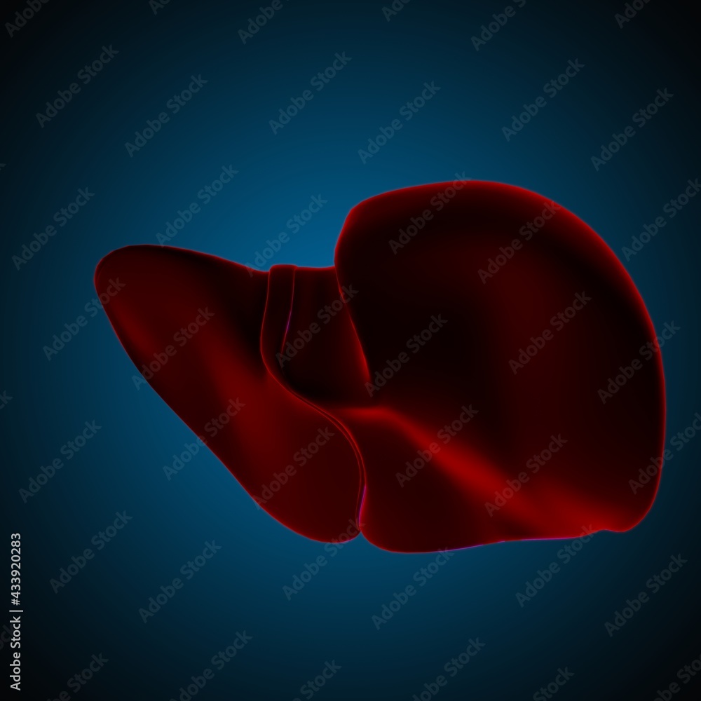 Liver 3D Illustration Human Digestive System Anatomy Liver 3D Illustration Human Digestive System Anatomy