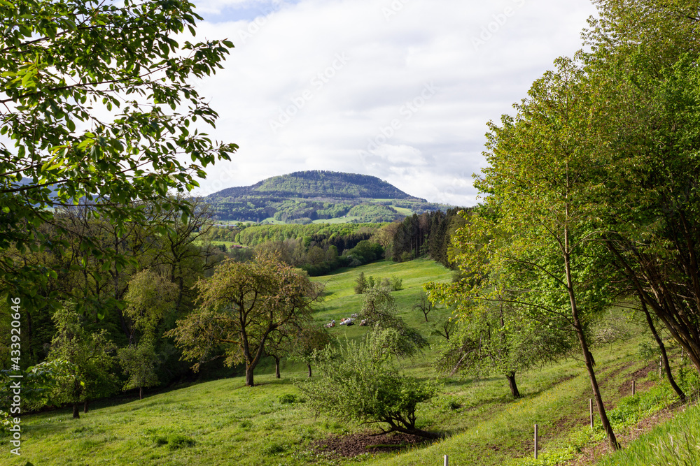 german green landscape