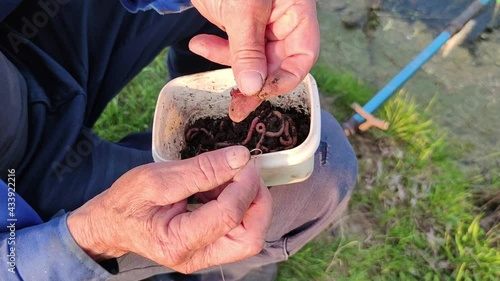 Close up Men's hands put bait worm on hook to fish with fishing rod. Lifestyle, recreation, leisure concept. Fisherman with worm