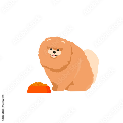 Dog eating food from bowl. Spitz with dogs food. Vector isolated on white background