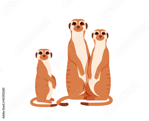 Tablou pe pânză Group of meerkats. Vector illustration.