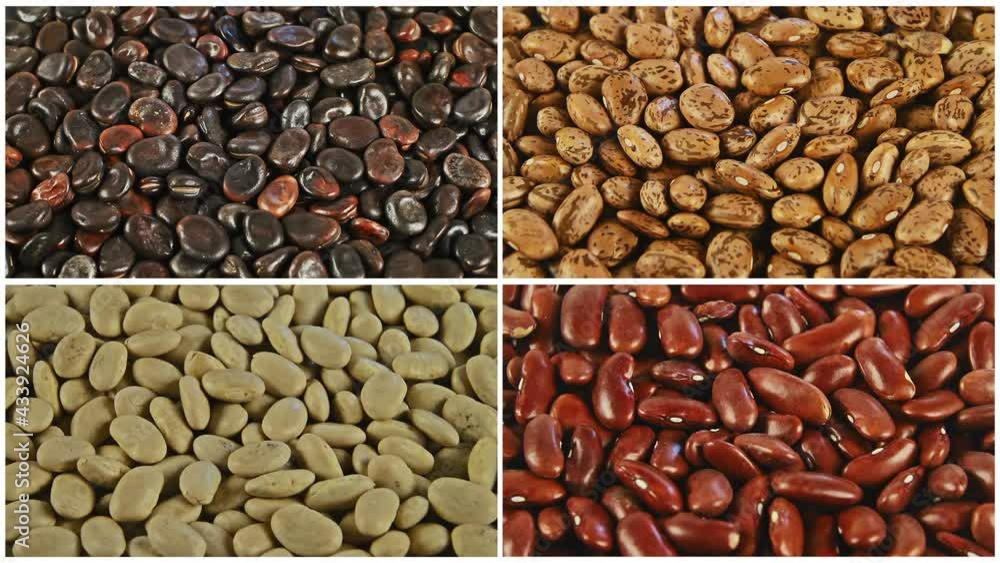 Mixture of dried beans background rotation split screen 4k