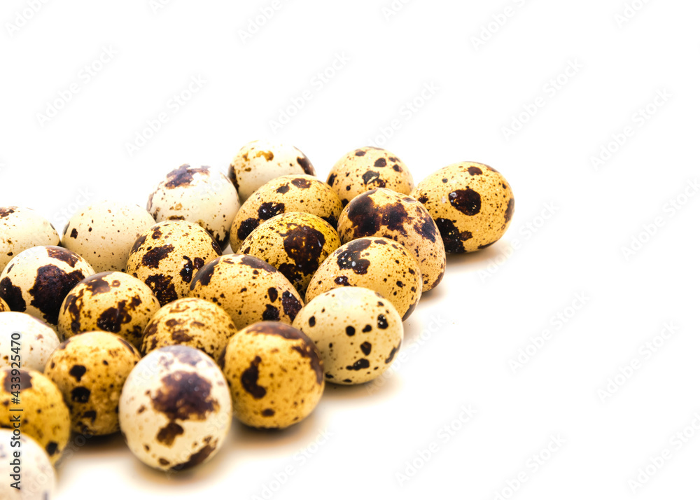 Shallow DOF studio shot heap of quail eggs isolated on white background with copy space Shallow DOF studio shot heap of quail eggs isolated on white background with copy space