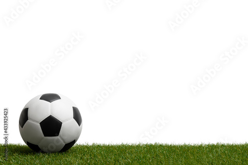 Soccer ballon green grass.  Professional sport concept. Horizontal sport poster  greeting cards  headers  website