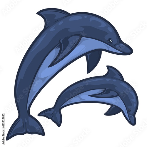 Jump of two dolphins in vintage style isolated vector