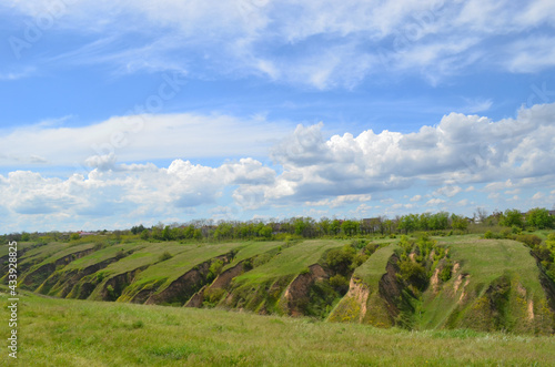 Beautiful huge green plains, field, grass, flowers, blue sky, white clouds. Nature, landscape.