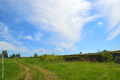 Beautiful huge green plains, field, grass, flowers, blue sky, white clouds. Nature, landscape.