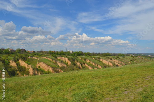 Beautiful huge green plains, field, grass, flowers, blue sky, white clouds. Nature, landscape.