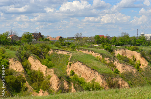 Beautiful huge green plains, field, grass, flowers, blue sky, white clouds. Nature, landscape.
