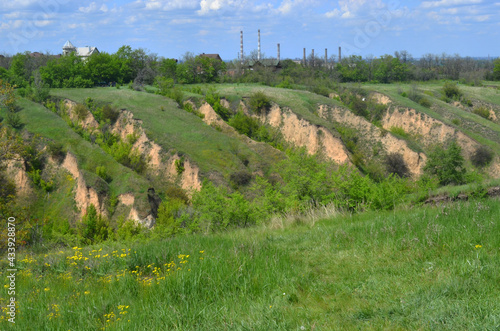 Beautiful huge green plains, field, grass, flowers, blue sky, white clouds. Nature, landscape.