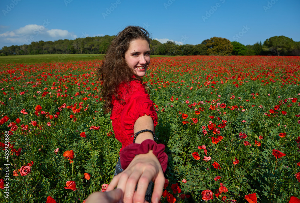 woman shaking hands in red poppy field woman shaking hands in red poppy field