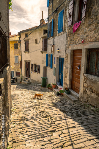 Motovun ein Bergdorf in Istrien, Kroatien