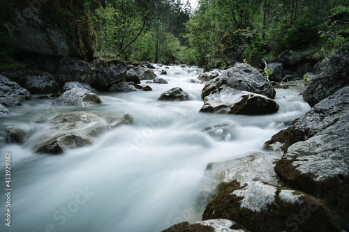 Timelapse of a floating mountain river in the forest with rocks inside