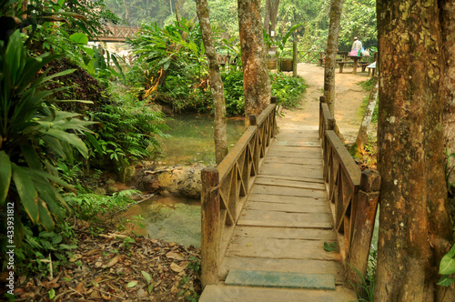 Small wooden bridge crossing stream creek for laotian people and foreign traveler walking travel visit of Wildlife Sanctuaries Zoo in Kuang Si Falls or Tat Kuang Si Waterfalls at Luang Prabang  Laos