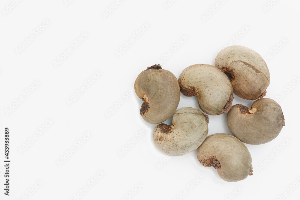 Cashew nuts dried with shell waiting to be processed on white background Cashew nuts dried with shell waiting to be processed on white background