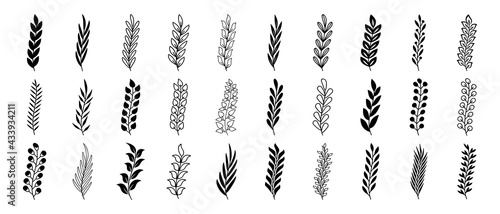Set of black branches with leaves. Hand drawing tree branches. Herbs, flowers and plants elements. Laurels wreaths, swirls, twigs and flower ornaments. Vintage decorative elements.
