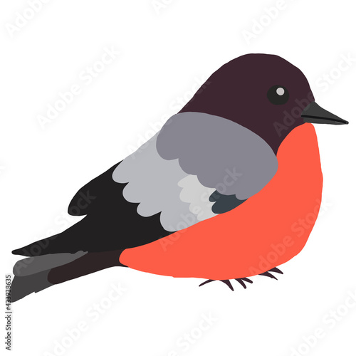 illustration of a bird ussurian bullfinch 