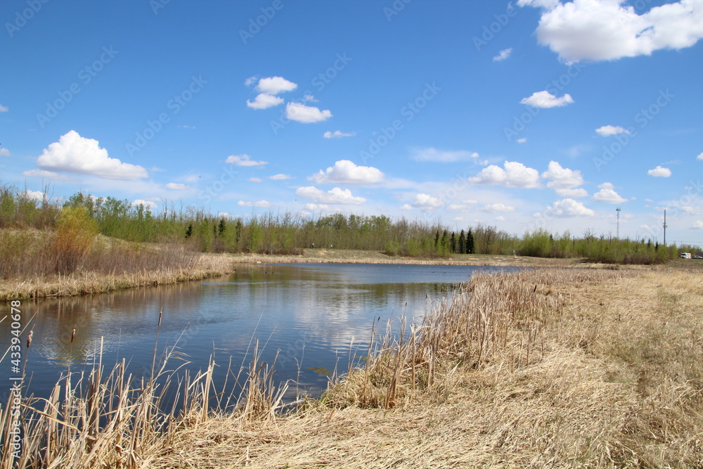 Spring On The Wetlands, Pylypow Wetlands, Edmonton, Alberta Spring On The Wetlands, Pylypow Wetlands, Edmonton, Alberta