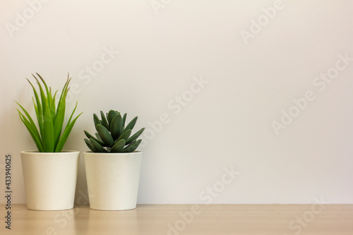 Indoor artificial plants, various succulents in pots. Succulents in white mini-pots. Ideas for home decoration.Copy of the space.